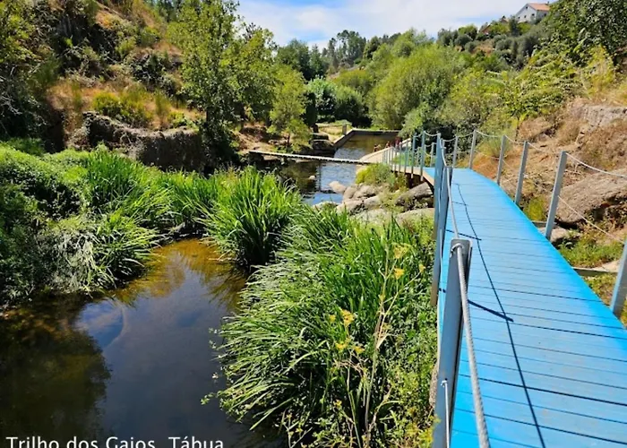 Летний дом Casa Moiano *